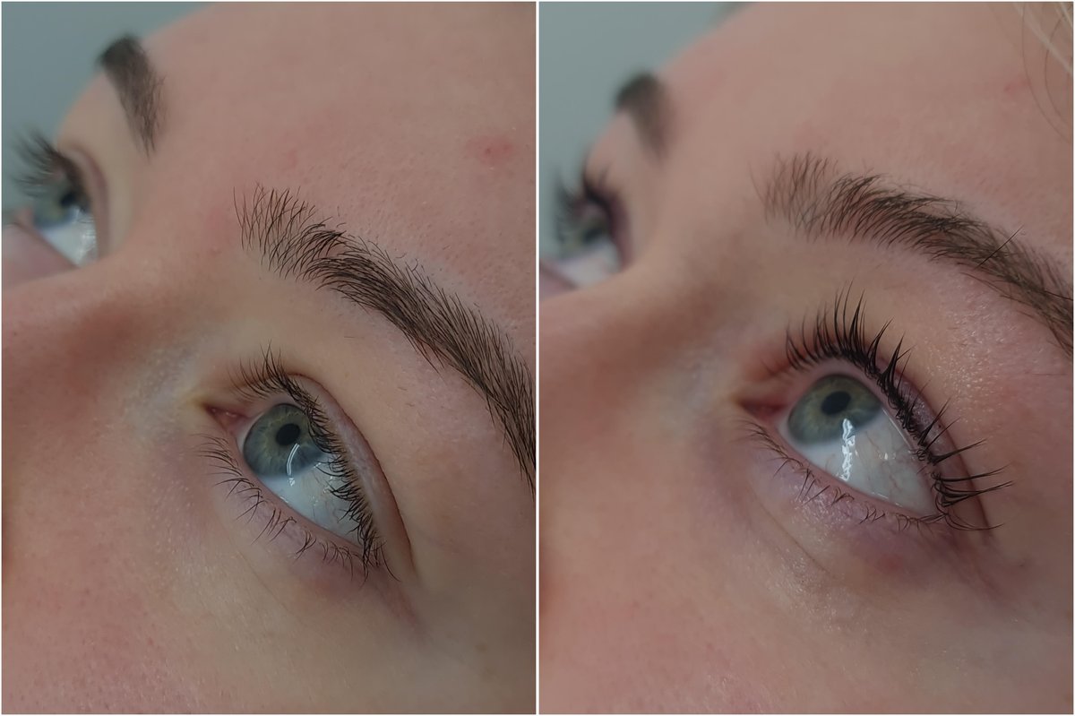 Defined tinted lashes at Aesthete Beauty Dundee